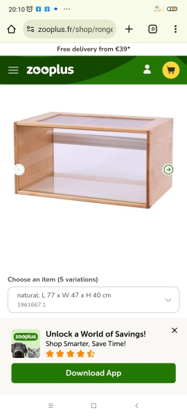 Pet hamster owning
