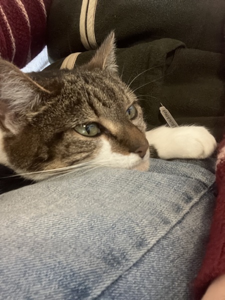 Need a hand hold -Part 3