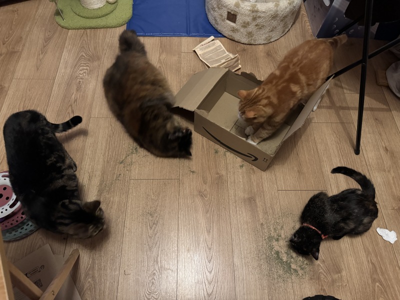 Feeling so guilty about leaving them