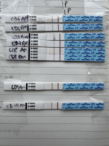 January TTC Support Group 💚