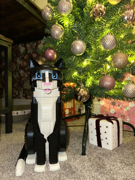 Anyone else get/buy lego for themselves this Xmas? If so, which one?