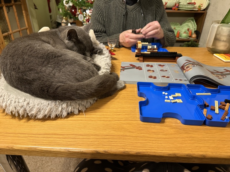 Tinsel, Glitter and Baubles - the Excellent Cats prepare to knock Everything off your Christmas Tree