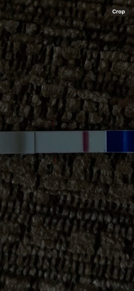 January TTC Support Group 💚