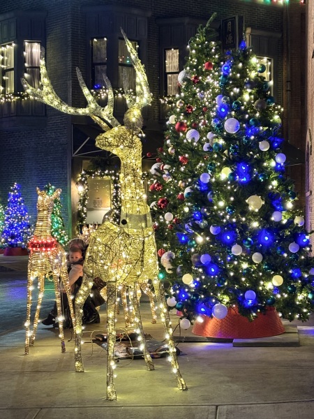 Come and tell us your dull and unexciting news 32: Calmly through the day