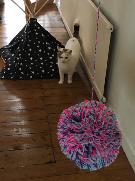 Tinsel, Glitter and Baubles - the Excellent Cats prepare to knock Everything off your Christmas Tree