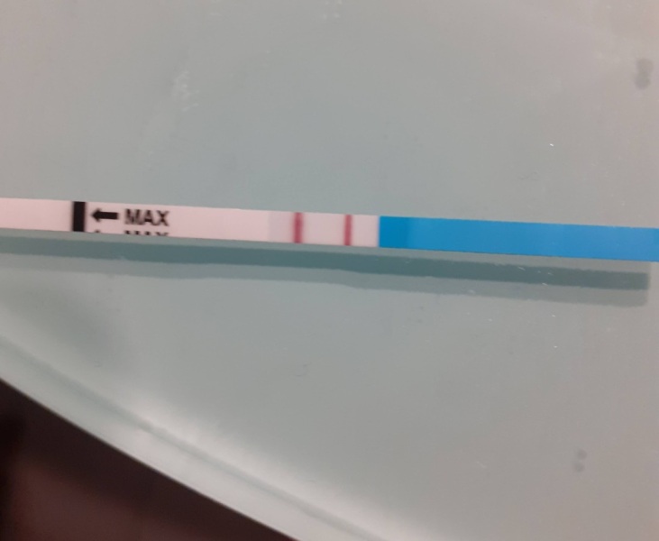 Would you say I am ovulating?