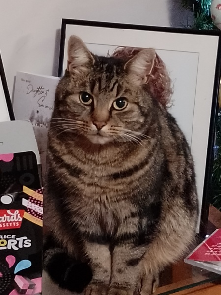 Watch me , Mum