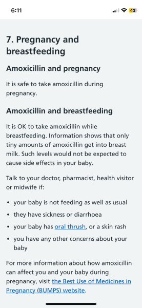 Antibiotics safe very early pregnancy?