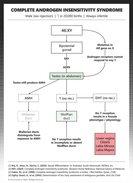 CPS change the proposed 'sex by deception re gender' legal guidance