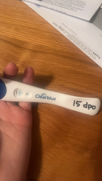 December TTC Support Group