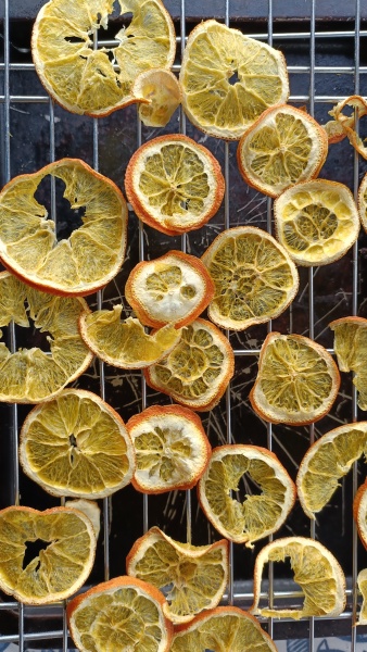 The Nigel Slater Christmas Chronicles Readalong 2024 Part 3