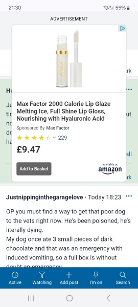 Stupid large Amazon adverts blocking the whole page!