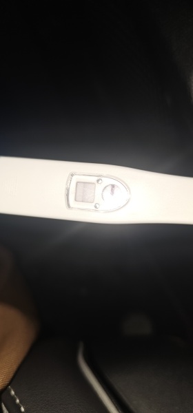IVF/ICSI/FET December 2024