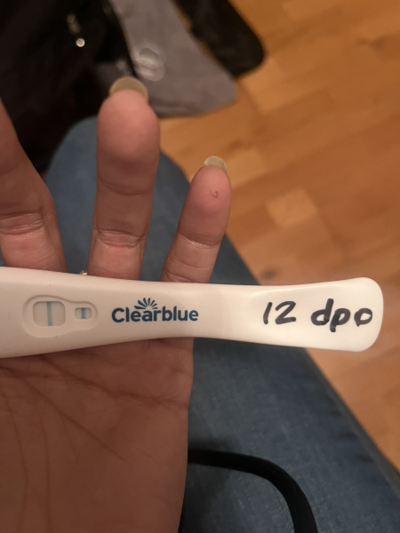 December TTC Support Group