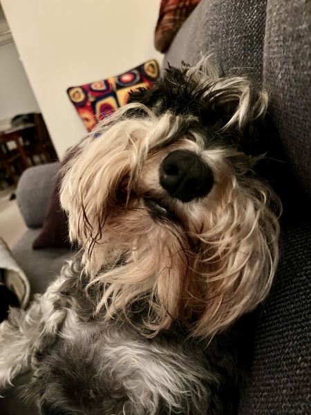 Thread 13 Starmer - facts are for lefties