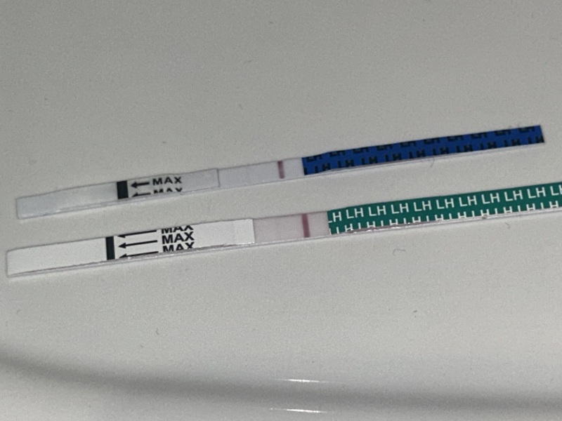 Ovulation tracking day 8 of cycle