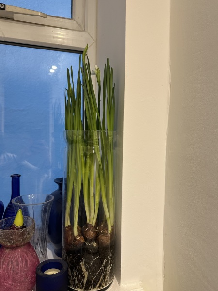 The Nigel Slater Christmas Chronicles Readalong 2024 Part 2