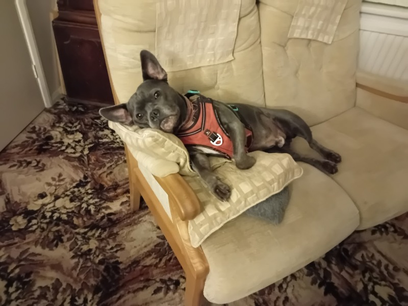 The Continuing Support Thread for Anyone Trying to Lead an Alcohol-Free Life Winter 2024