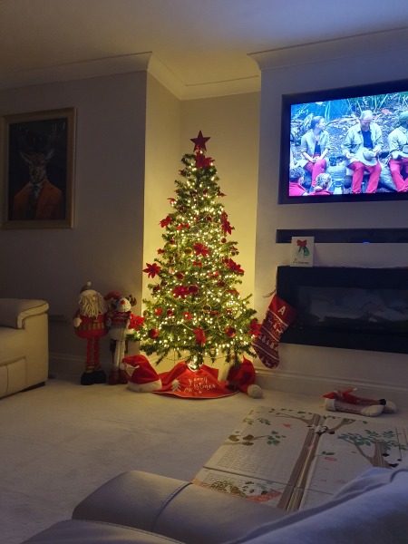 Show us your Christmas trees