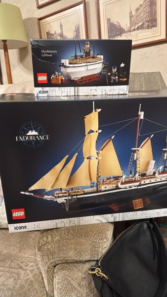 To show me your Lego collection?