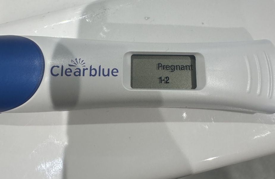 Pregnancy test