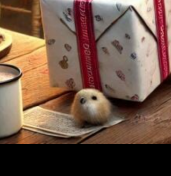 The Bluestocking - the one with the Christmas stocking