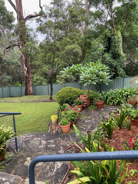 Come and tell us your dull and unexciting news 32: Calmly through the day