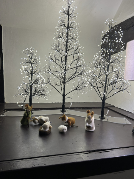 The Christmas trees in next window.