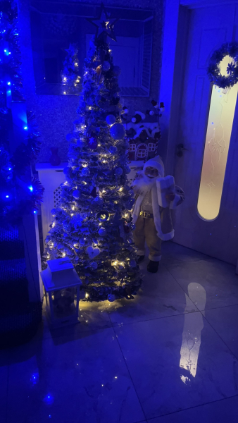 Show us your Christmas trees