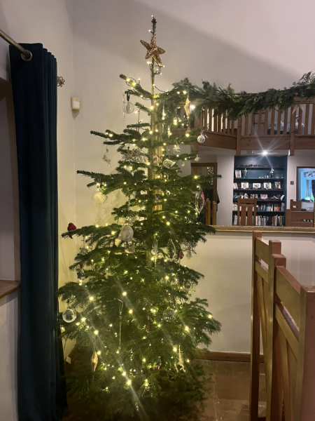 Poncetastic Christmas 2024