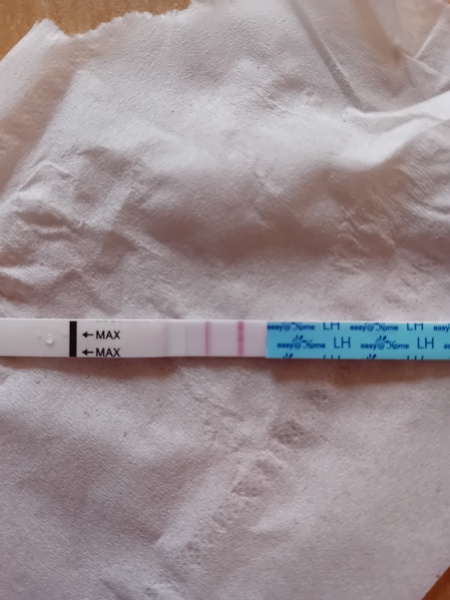 When do you think this opk will turn positive?