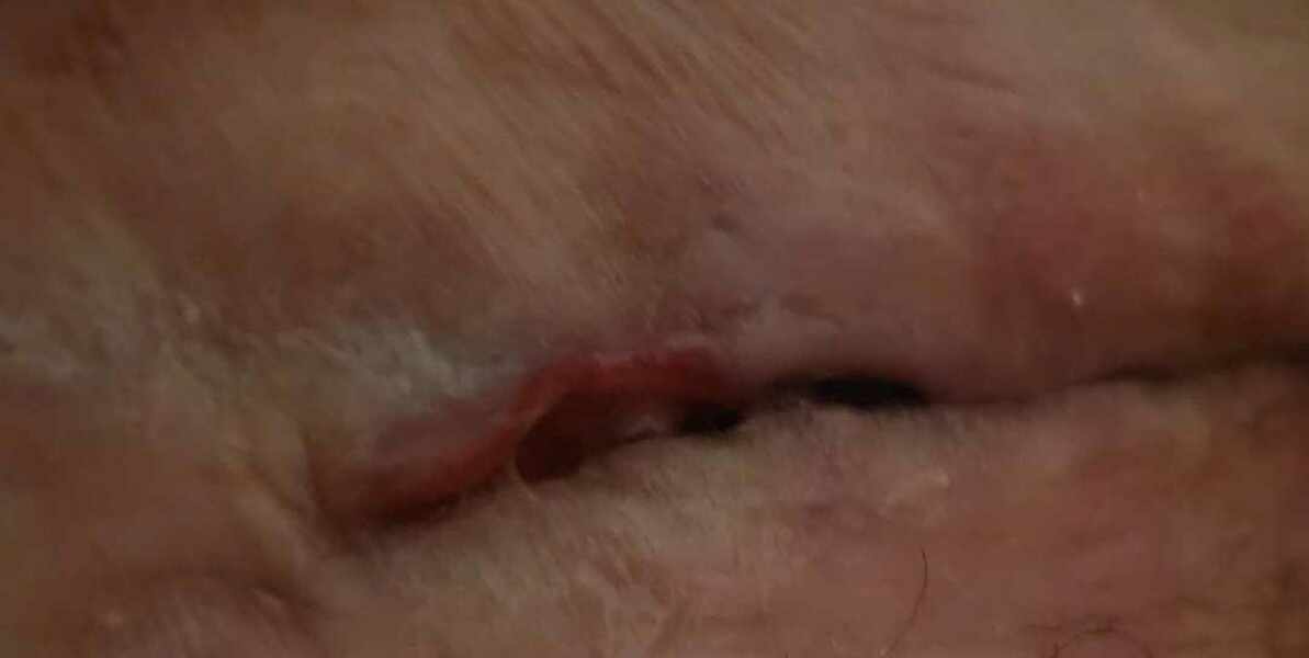AITA? Due date the week my SIL lost her baby boy prematurely in 2020?