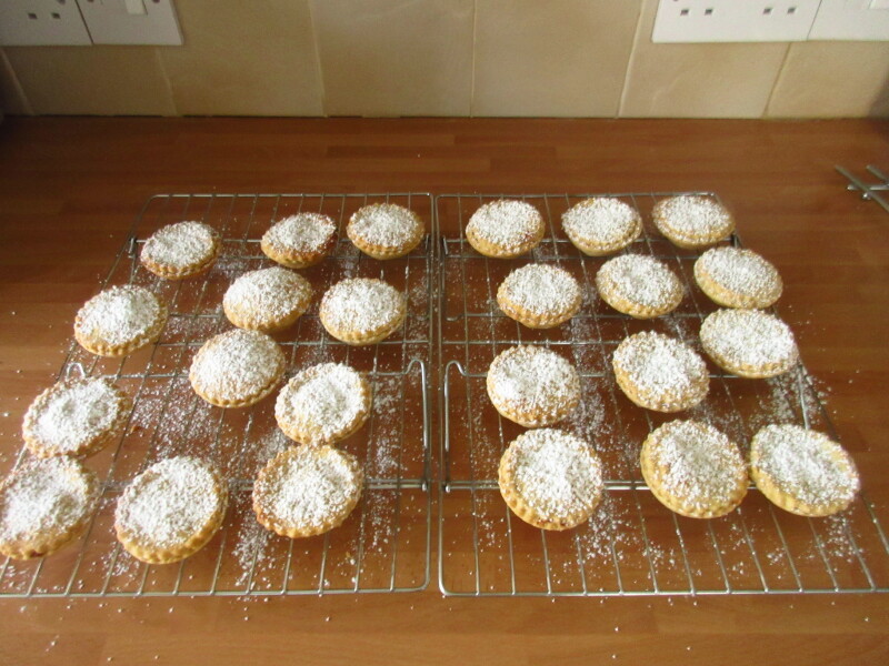 It's advent for the Playmobil people in our house...