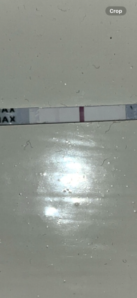 On coil…positive test or evap/indent