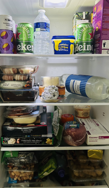 🎄🎄The official Christmas Fridge Thread🎄🎄