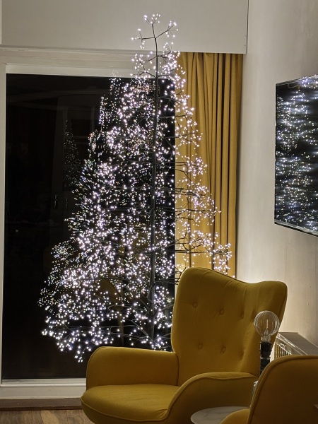 The Christmas trees in next window.
