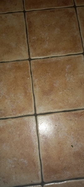 What property features would you never have again?