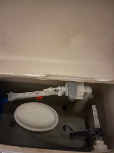 That a three week wait to fix a broken toilet isn't acceptable?
