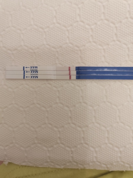 A line eye enthusiast #3