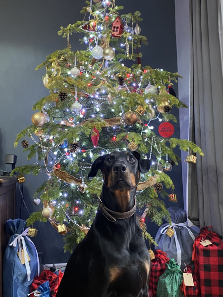 Autistic child Christmas