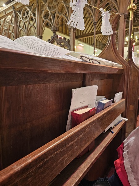 Tinsel, Glitter and Baubles - the Excellent Cats prepare to knock Everything off your Christmas Tree