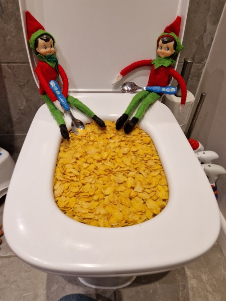 Naughty elf on the shelf!