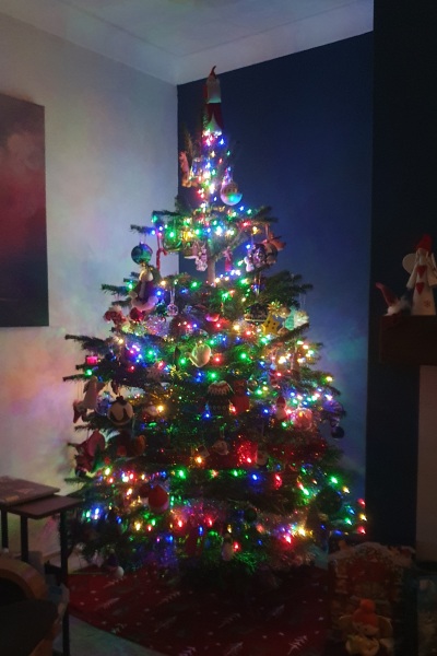 Show us your Christmas trees