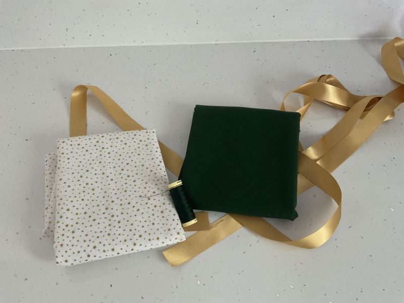 Poncetastic Christmas 2024