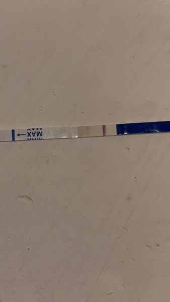 Am I pregnant or not?