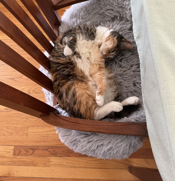 Come and tell us your dull and unexciting news 32: Calmly through the day