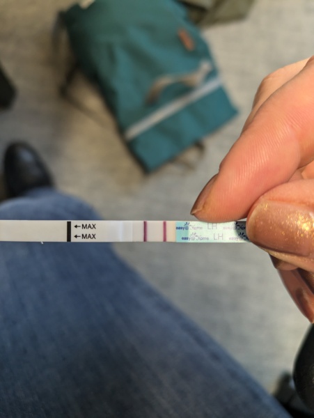 January TTC Support Group 💚