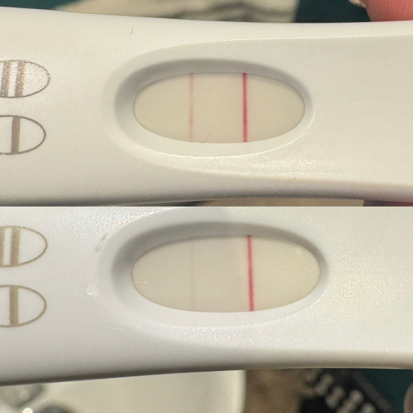 December TTC Support Group