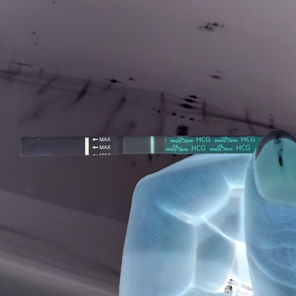 FET #5 5dp5dt BFP?