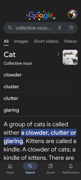 Tinsel, Glitter and Baubles - the Excellent Cats prepare to knock Everything off your Christmas Tree